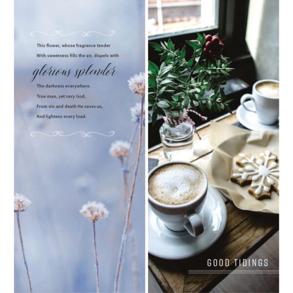 ICare- Christmas Card Package Joyous - discontinued - Image 2