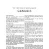 KJV, Thinline Bible, Large Print, Leathersoft, Brown - Image 2
