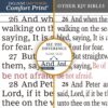 KJV, Thinline Bible, Large Print, Leathersoft, Brown - Image 4