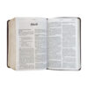 NLT Compact Giant Print Bible - Image 4