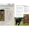 The Horse Lover's Bible - Image 4