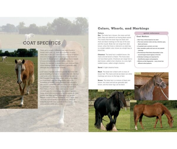 The Horse Lover's Bible 116 0435 3