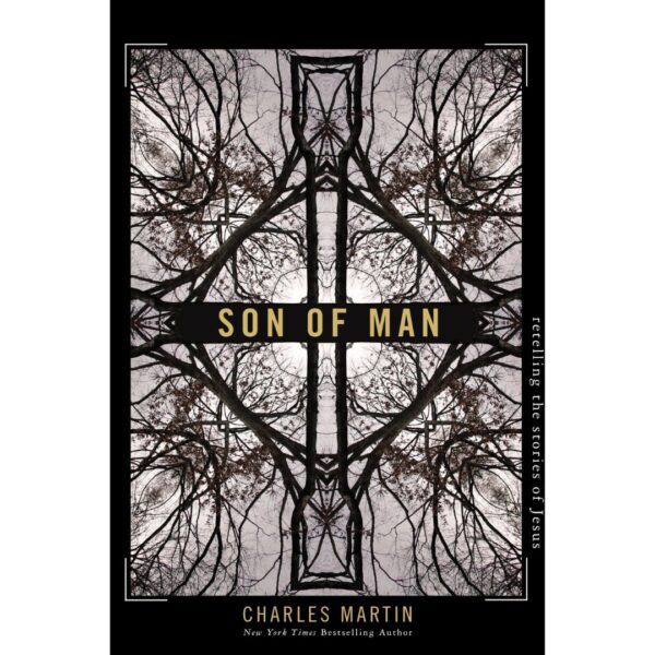 Son of Man: Retelling the Stories of Jesus 118 1491 0