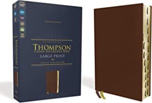 Image of NIV, Thompson Chain-Reference Bible, Large Print, Genuine Leather