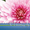 Dayspring Cards Boxed Secret Sister - Image 5