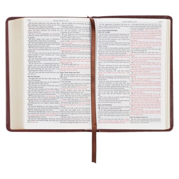 KJV Compact Bible-Brown LuxLeather 206 0456 5