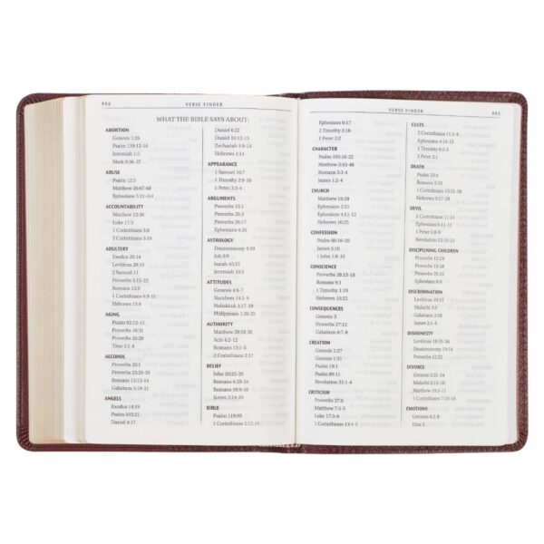 KJV Compact Bible-Brown LuxLeather 206 0456 6