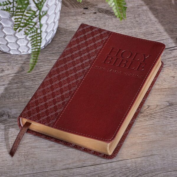 KJV Compact Bible-Brown LuxLeather 206 0456 8