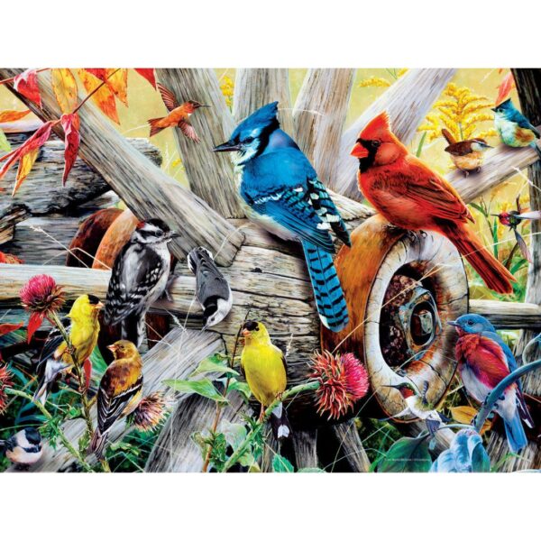 1000 Pc Puzzle - Backyard Birds