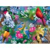 1000 Pc Puzzle - Songbird Collage