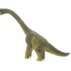 Carnotaurus - Image 2