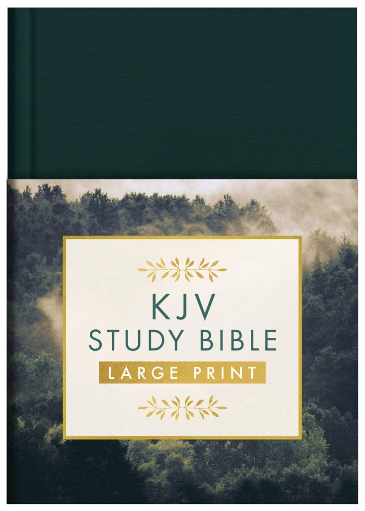 Image of KJV Study Bible – Large Print [Gold Evergreen]