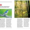 125 Nature Hot Spots in British Columbia: The Best Parks, Conservation Areas and - Image 4