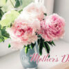 Cards Mother's Day- Bouquets for Mom- Discontinued - Image 4
