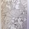Anne of Green Gables Coloring Book -Dover Classic Stories Coloring Book - Image 2