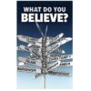 Tract: What Do You Believe? 100pk - KJV