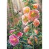 Puzzle After The Rain  1000pc - Image 2