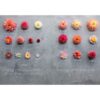 Floret Farm's Discovering Dahlias: A Guide to Growing - Image 9