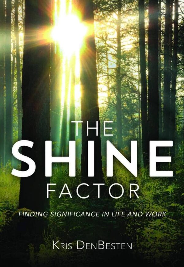 SHINE FACTOR