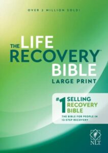 Image of NLT Life Recovery Bible, Large Print