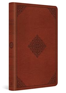 Image of ESV Large Print Value Thinline Bible-Ornament Design