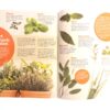 Simply in Season Children's Cookbook: A World Community - Image 3