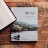 Pray- Cultivating a Passionate Practice of Prayer BIble Study -Men