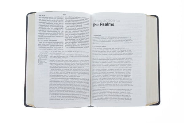 ESV Chronological Bible :Hardcover - Image 3