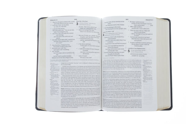 ESV Chronological Bible :Hardcover - Image 4