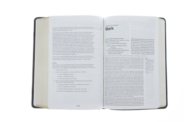 ESV Chronological Bible :Hardcover - Image 5