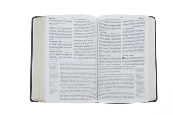 ESV Chronological Bible :Hardcover - Image 6