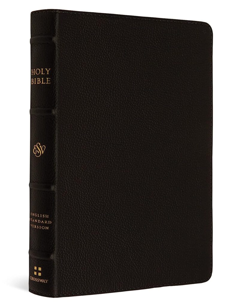 Image of ESV Large Print Compact Bible (Buffalo Leather, Deep Brown)