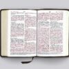 ESV Large Print Compact Bible (Buffalo Leather, Deep Brown) - Image 2