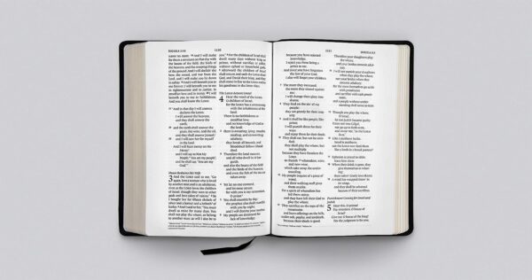 ESV Large Print Wide Margin Bible (Black) - Image 2