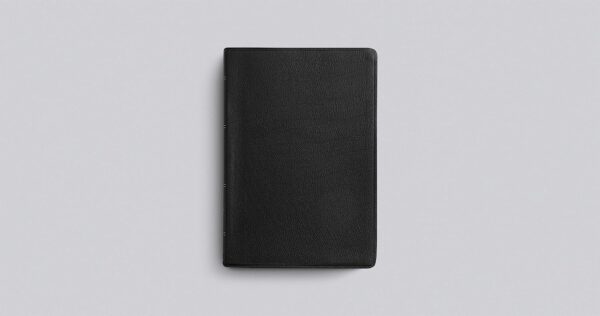 ESV Large Print Wide Margin Bible (Black) - Image 3