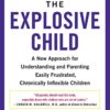 The Explosive Child [Sixth Edition]: A New Approach- Discontinued - Image 2