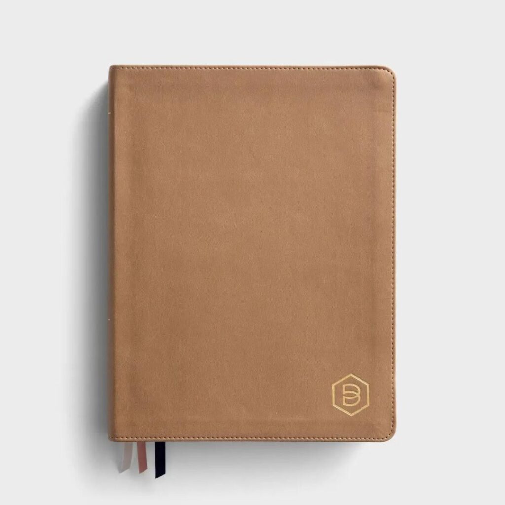 Image of NLT Bible- One Step Closer