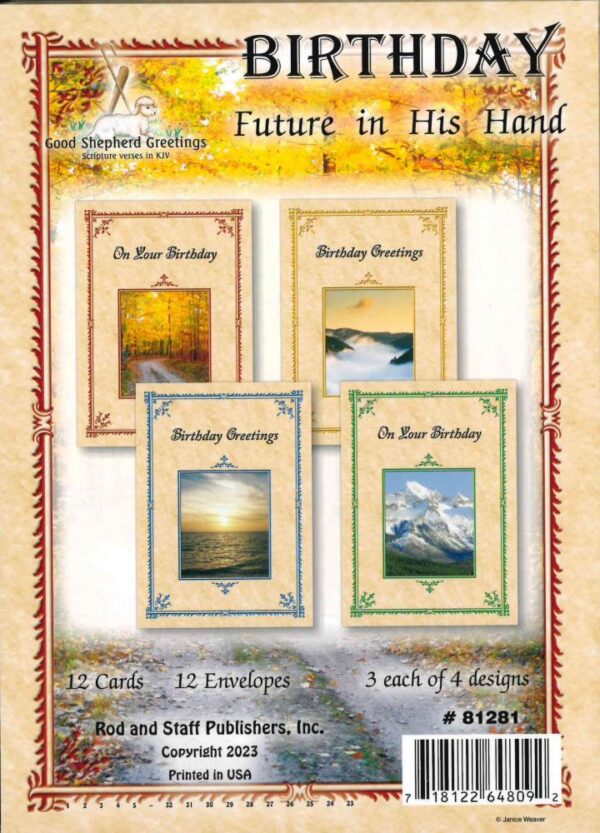 Future In His Hand - Birthday Cards 540 0229 0