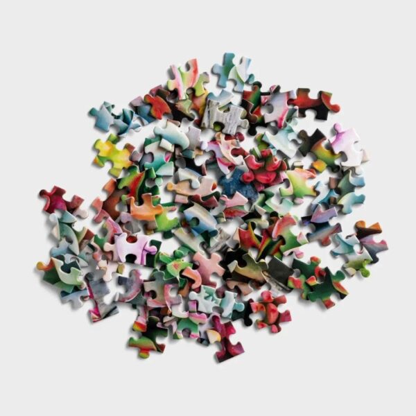 Beautiful Succulents - 1,000 Piece Puzzle - Image 2