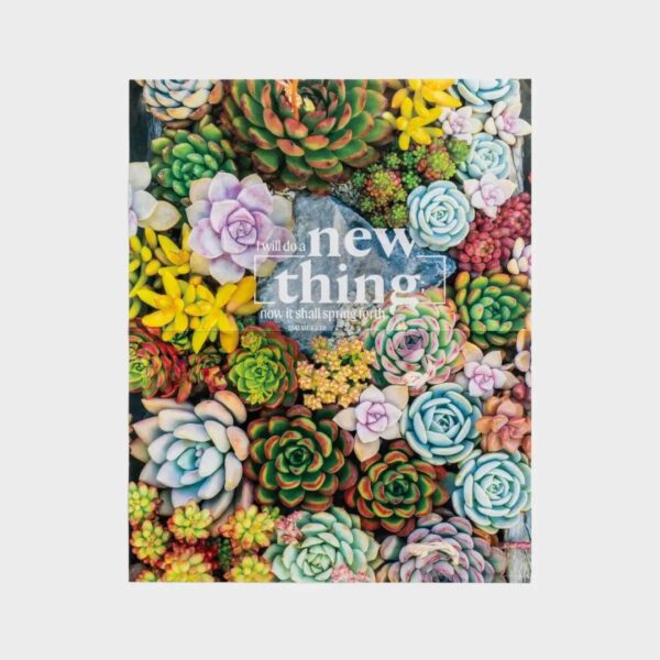 Beautiful Succulents - 1,000 Piece Puzzle - Image 3