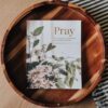 Pray- Cultivating a Passionate Practice of Prayer BIble Study