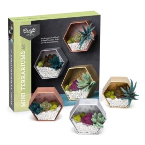 Image of Craft Crush – Mini Terrariums