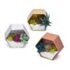 Craft Crush - Mini Terrariums - Image 4