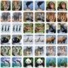 World of Animals Matching Game - Image 2