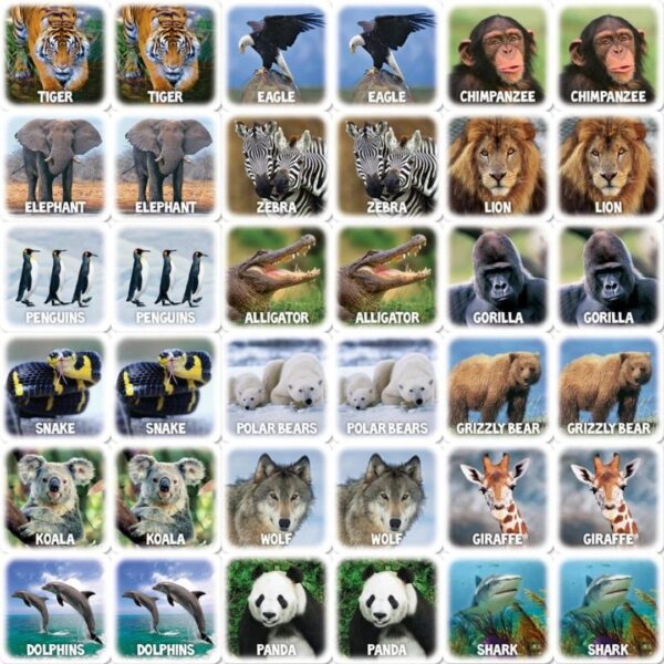 World of Animals Matching Game 650 0233 1