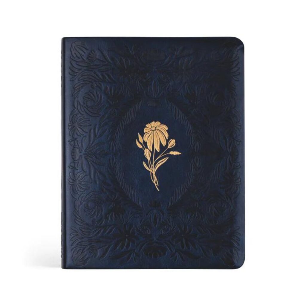 Image of NLT Notetaking Bible : Versailles Theme