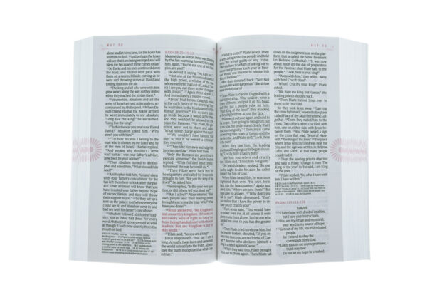 NLT One Year Bible For Women -Softcover - Image 4