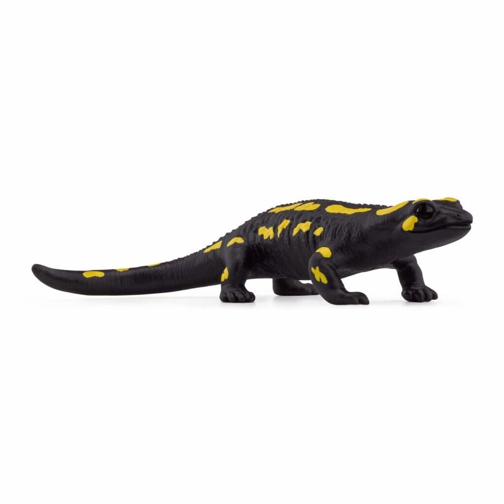Image of Fire Salamander