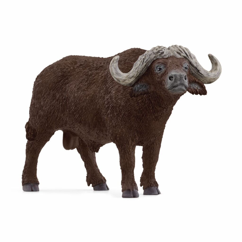 Image of African Buffalo