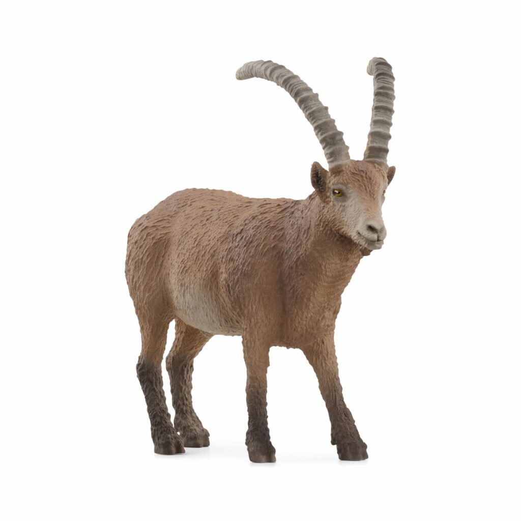 Image of Capricorn